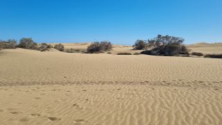 2023-GC--Mapalomas dunas-S123-150.jpg